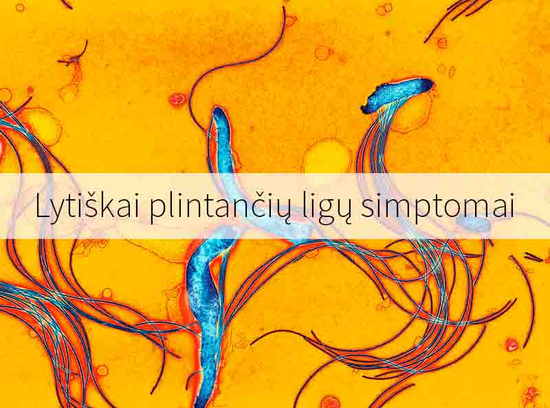 Lytiškai plintančių ligų simptomai